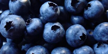 Más inversión estadounidense para arándanos orgánicos de Perú