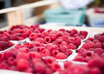 En 2023, récord en comercio de orgánicos entre México y Estados Unidos