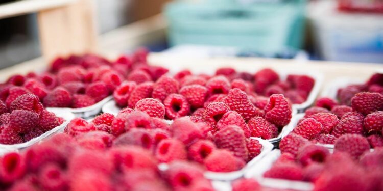 En 2023, récord en comercio de orgánicos entre México y Estados Unidos