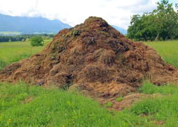 Anuncian el IICA y la Sader estrategia sectorial de bioeconomía para México