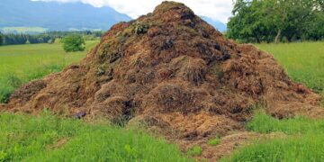 Anuncian el IICA y la Sader estrategia sectorial de bioeconomía para México