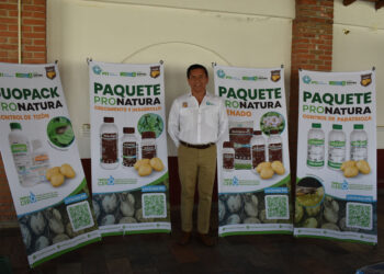 Con soluciones orgánicas, ProNatura incrementa 20% el rendimiento en cultivo de papa