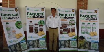 Con soluciones orgánicas, ProNatura incrementa 20% el rendimiento en cultivo de papa