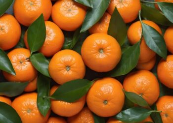 Hongos son materia prima para convertir residuos en fertilizantes