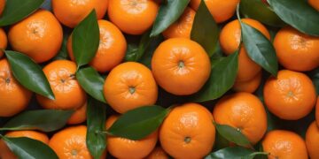 Hongos son materia prima para convertir residuos en fertilizantes