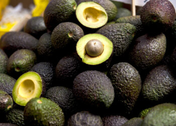 Anuncian el IICA y la Sader estrategia sectorial de bioeconomía para México