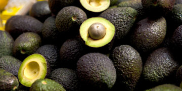 Anuncian el IICA y la Sader estrategia sectorial de bioeconomía para México