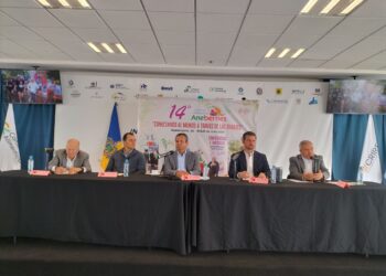 Recuperar la producción de berries, reto del sector: Aneberries