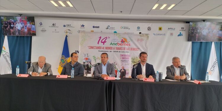 Recuperar la producción de berries, reto del sector: Aneberries