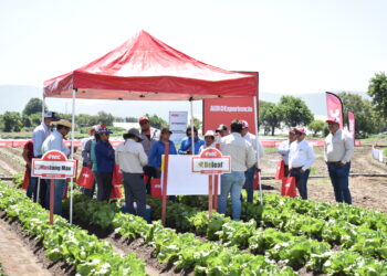 Startup israelí diseña una plataforma que evita la “sobredosis” de fertilizante