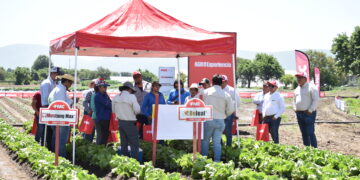 Startup israelí diseña una plataforma que evita la “sobredosis” de fertilizante