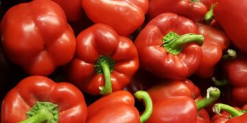 Utopía: innovador proyecto de agricultura orgánica en la UABCS