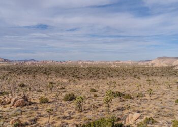 El cambio climático reduce rápidamente el carbono orgánico en zonas áridas