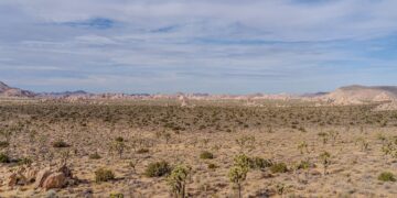El cambio climático reduce rápidamente el carbono orgánico en zonas áridas