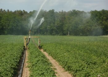 Startup israelí diseña una plataforma que evita la “sobredosis” de fertilizante