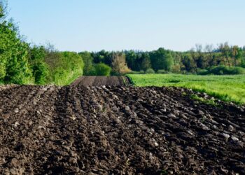 Desafíos y oportunidades para la agricultura regenerativa