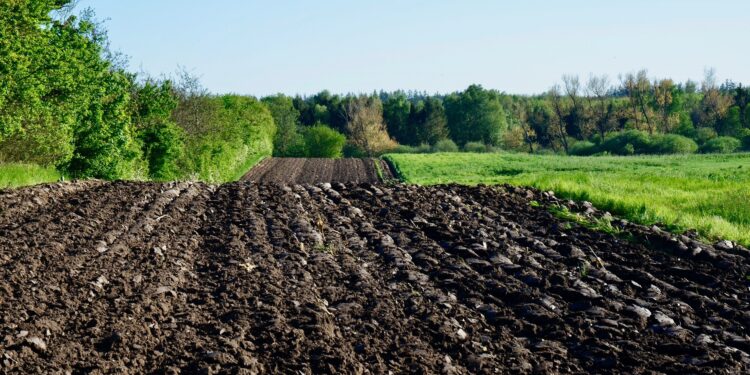 Desafíos y oportunidades para la agricultura regenerativa