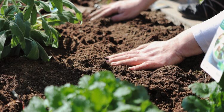 Agricultura regenerativa, la nueva revolución que promueve la UE para salvar suelos y comer mejor