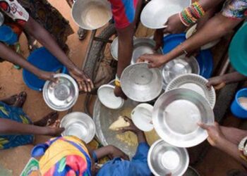 Más de 700 millones de personas son víctimas de la hambruna: FAO