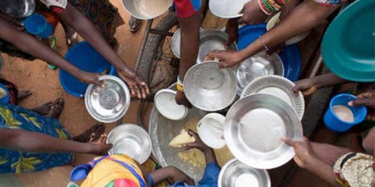 Más de 700 millones de personas son víctimas de la hambruna: FAO