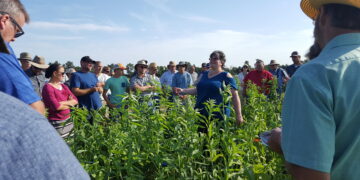 La agricultura nutre la salud humana