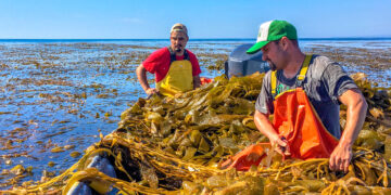 El Método AP: estrategia y liderazgo en bioestimulación vegetal