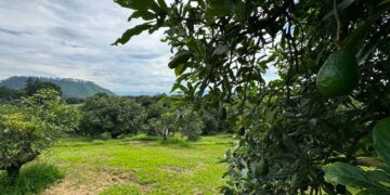 Control biorracional: el respeto por las diferentes formas de vida