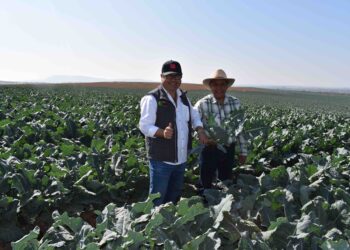 En la regeneración de los suelos está la salud humana