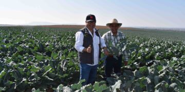 En la regeneración de los suelos está la salud humana