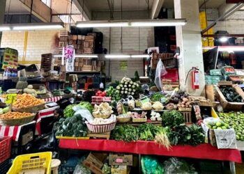Alimentos comercializados en CDMX presentan contaminación con cadmio