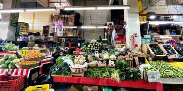 Alimentos comercializados en CDMX presentan contaminación con cadmio