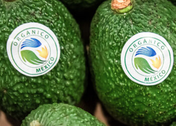 México mantiene la competitividad en producción orgánica