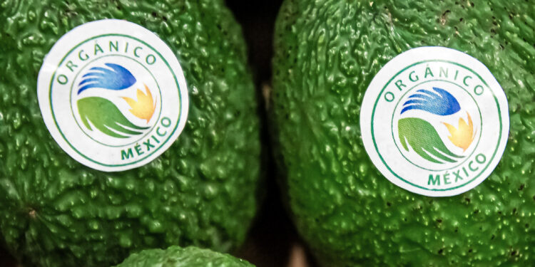 México mantiene la competitividad en producción orgánica