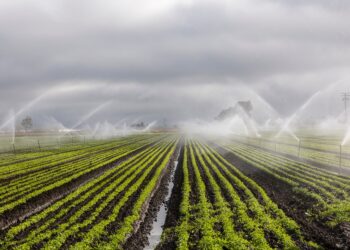 Estados Unidos financiará 27 iniciativas de agricultura de conservación