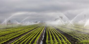 Estados Unidos financiará 27 iniciativas de agricultura de conservación