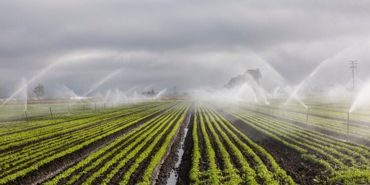 Estados Unidos financiará 27 iniciativas de agricultura de conservación