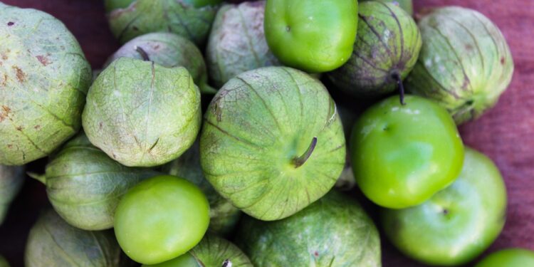 Estudiantes de la UAQ elaboran abono orgánico peletizado