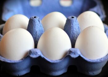 Huevos orgánicos, más baratos ante escasez en EEUU