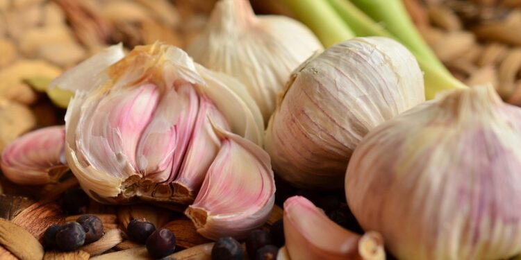 Mulching orgánico: un aliado para el cultivo de ajo