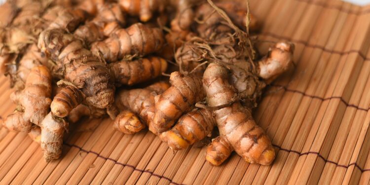 Con goma natural y luz, investigadores buscan prolongar la vida de anaquel