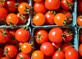 Desencadenarán aranceles agroalimentarios recesión en el campo