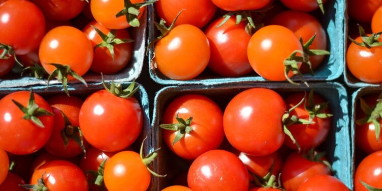 Desencadenarán aranceles agroalimentarios recesión en el campo