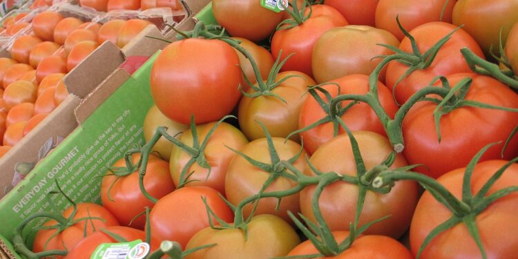 Trump impone aranceles a productos agrícolas importados a partir del 2 de abril