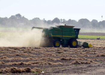 Agrónomos de la UAM se suman a programas de productividad agroalimentaria