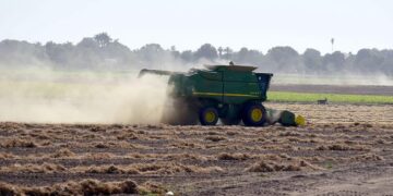 Agrónomos de la UAM se suman a programas de productividad agroalimentaria