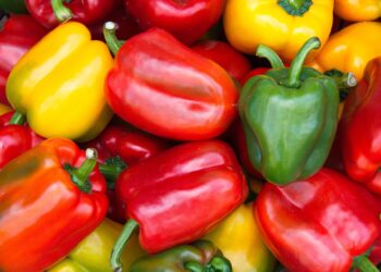 Nuevos mercados y estrategias preventivas ante escenarios inciertos con EE.UU.