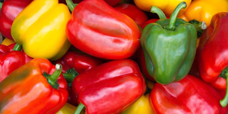 Nuevos mercados y estrategias preventivas ante escenarios inciertos con EE.UU.