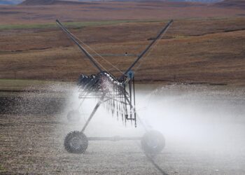 Tecnología e innovación, fundamental para la competitividad del agro en México
