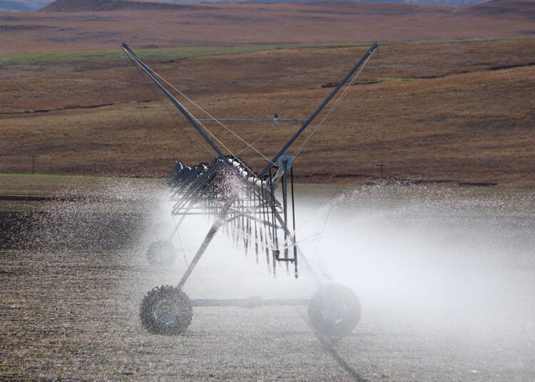 Tecnología e innovación, fundamental para la competitividad del agro en México