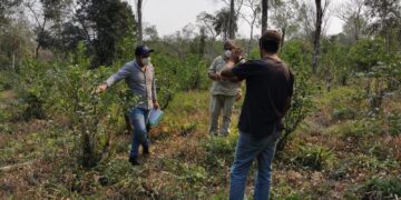 Certificar calidad genera credibilidad en los consumidores